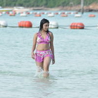Payal Ghosh hot n spicy bikini gallery | Picture 71910